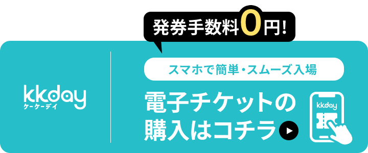 KKDAYのチケットはこちら