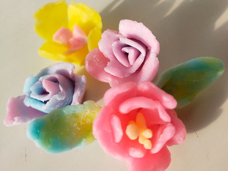 イベント情報 宝石探しと昆虫展 Norn ノルンみなかみ